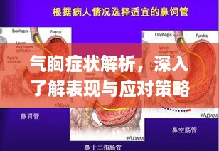 氣胸癥狀解析，深入了解表現(xiàn)與應對策略