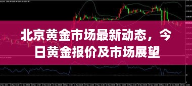 北京黃金市場最新動態(tài)，今日黃金報價及市場展望
