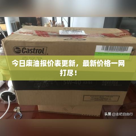 今日廢油報價表更新，最新價格一網(wǎng)打盡！