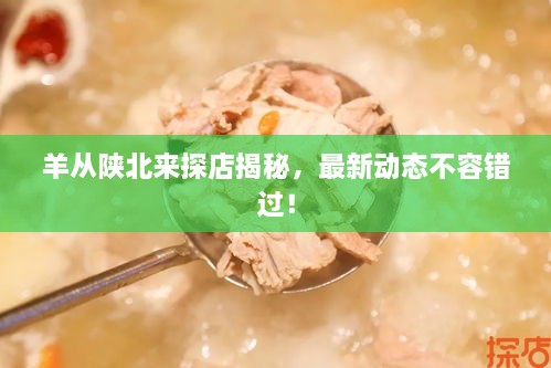 羊從陜北來(lái)探店揭秘，最新動(dòng)態(tài)不容錯(cuò)過(guò)！