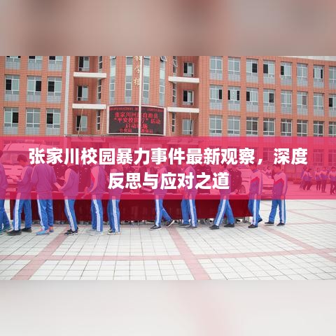 張家川校園暴力事件最新觀察，深度反思與應(yīng)對之道