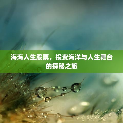 海海人生股票，投資海洋與人生舞臺(tái)的探秘之旅