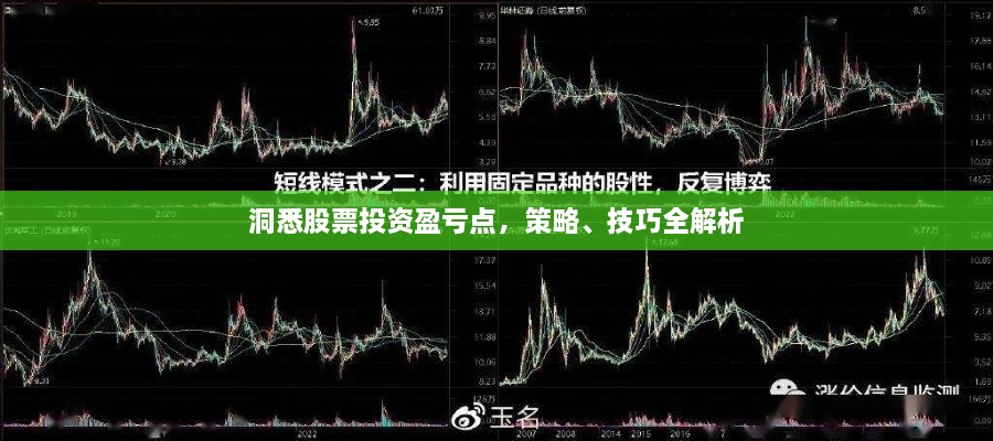 洞悉股票投資盈虧點，策略、技巧全解析