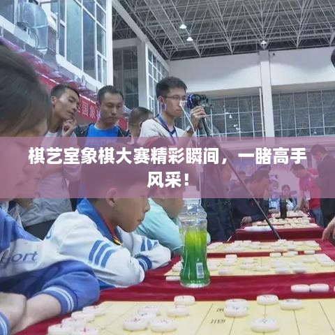 棋藝室象棋大賽精彩瞬間，一睹高手風(fēng)采！