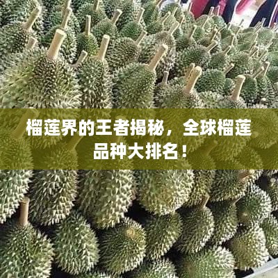榴蓮界的王者揭秘，全球榴蓮品種大排名！