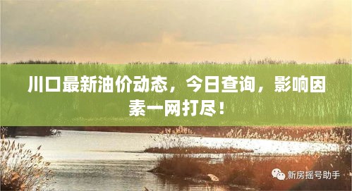 川口最新油價動態(tài)，今日查詢，影響因素一網(wǎng)打盡！