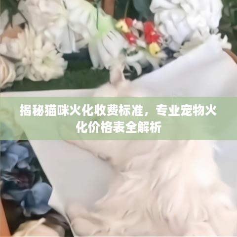 揭秘貓咪火化收費(fèi)標(biāo)準(zhǔn)，專業(yè)寵物火化價(jià)格表全解析