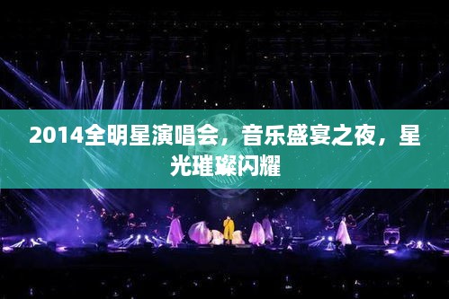2014全明星演唱會，音樂盛宴之夜，星光璀璨閃耀