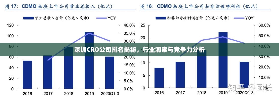 深圳CRO公司排名揭秘，行業(yè)洞察與競爭力分析