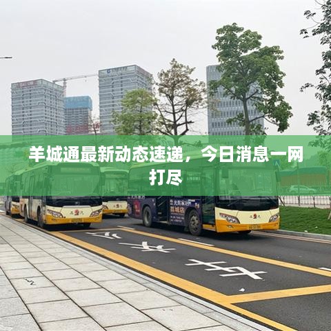 羊城通最新動(dòng)態(tài)速遞，今日消息一網(wǎng)打盡