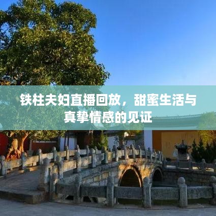 鐵柱夫婦直播回放，甜蜜生活與真摯情感的見(jiàn)證