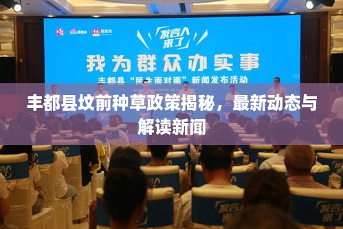 豐都縣墳前種草政策揭秘，最新動態(tài)與解讀新聞