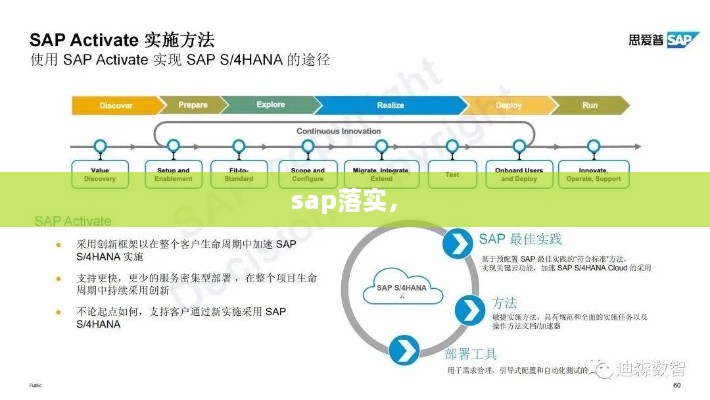 sap落實， 