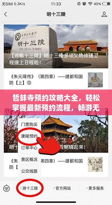 哲蚌寺預(yù)約攻略大全，輕松掌握最新預(yù)約流程，暢游無阻！