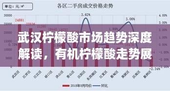 武漢檸檬酸市場趨勢深度解讀，有機檸檬酸走勢展望