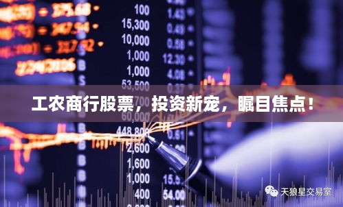 工農(nóng)商行股票，投資新寵，矚目焦點！