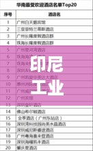 印尼工業(yè)材料TOP10排行榜，揭秘最受歡迎的十大材料
