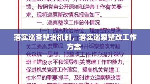 落實(shí)巡查整治機(jī)制，落實(shí)巡察整改工作方案 