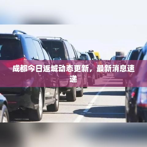 成都今日返城動態(tài)更新，最新消息速遞