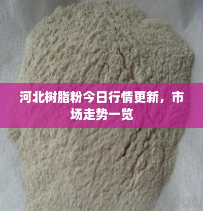 河北樹脂粉今日行情更新，市場走勢一覽