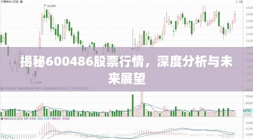 揭秘600486股票行情，深度分析與未來展望