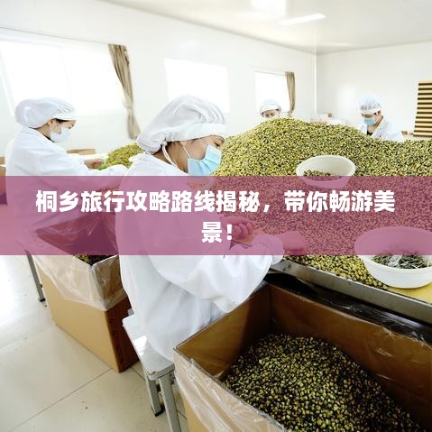 桐鄉(xiāng)旅行攻略路線揭秘，帶你暢游美景！