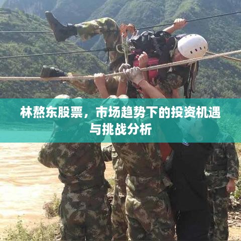 林熬東股票，市場(chǎng)趨勢(shì)下的投資機(jī)遇與挑戰(zhàn)分析