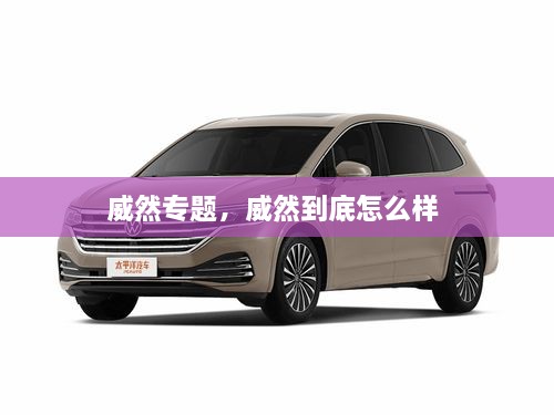 威然專題，威然到底怎么樣 