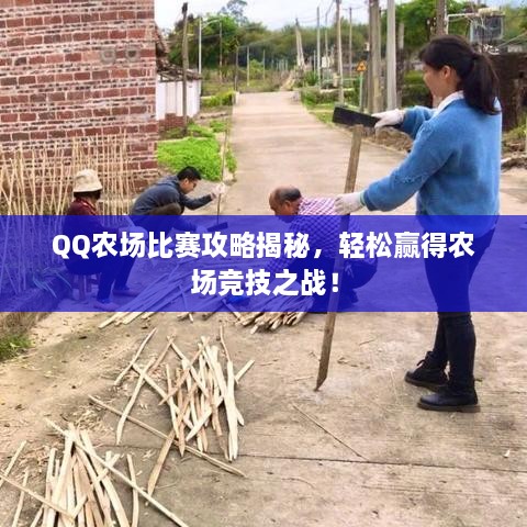 QQ農(nóng)場比賽攻略揭秘，輕松贏得農(nóng)場競技之戰(zhàn)！