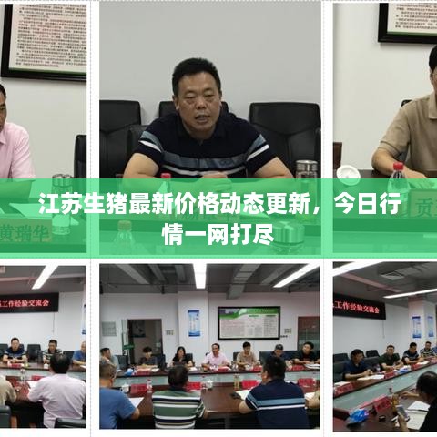 江蘇生豬最新價(jià)格動(dòng)態(tài)更新，今日行情一網(wǎng)打盡