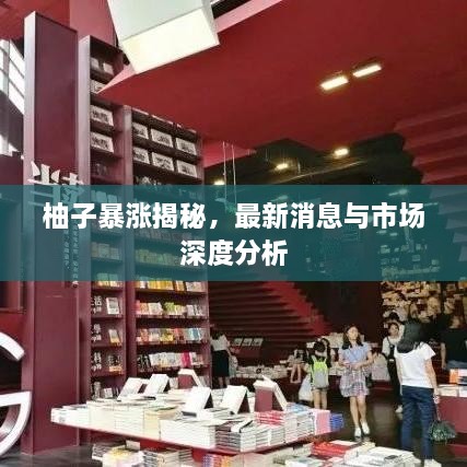 柚子暴漲揭秘，最新消息與市場(chǎng)深度分析