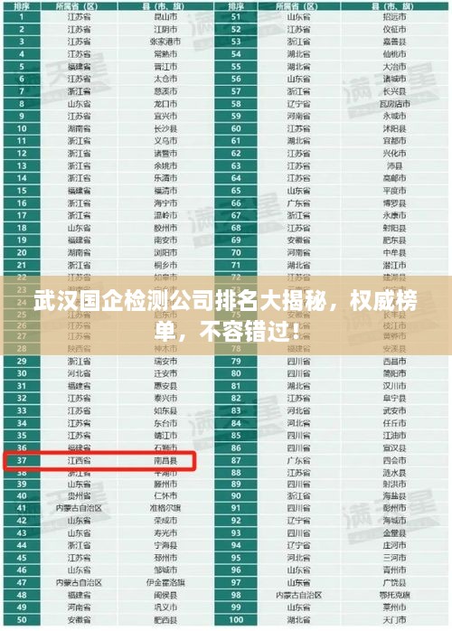 武漢國企檢測(cè)公司排名大揭秘，權(quán)威榜單，不容錯(cuò)過！