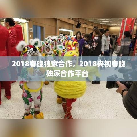 2018春晚獨家合作，2018央視春晚獨家合作平臺 