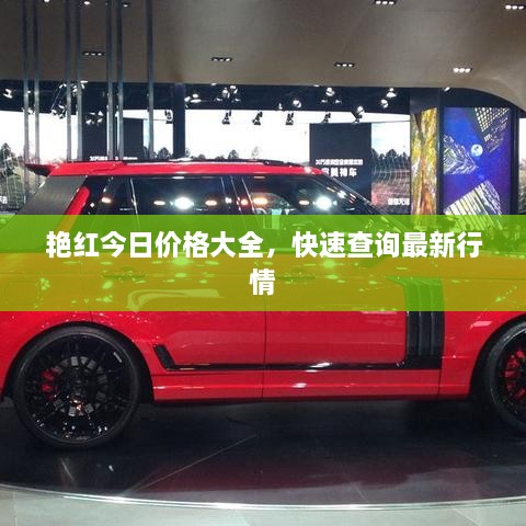 艷紅今日價(jià)格大全，快速查詢最新行情