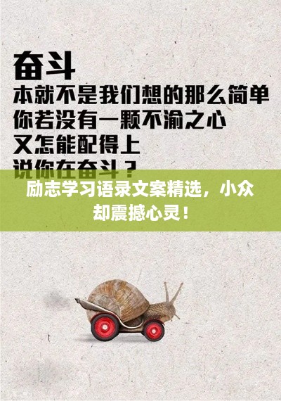 勵志學(xué)習(xí)語錄文案精選，小眾卻震撼心靈！