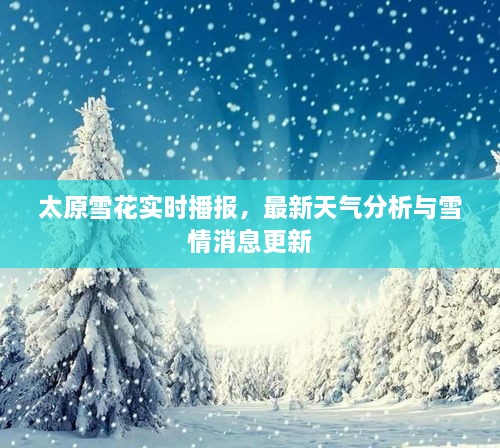 太原雪花實時播報，最新天氣分析與雪情消息更新