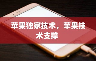 蘋果獨(dú)家技術(shù)，蘋果技術(shù)支撐 