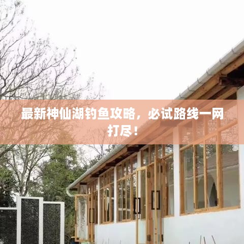 最新神仙湖釣魚(yú)攻略，必試路線一網(wǎng)打盡！