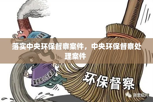 落實(shí)中央環(huán)保督察案件，中央環(huán)保督察處理案件 