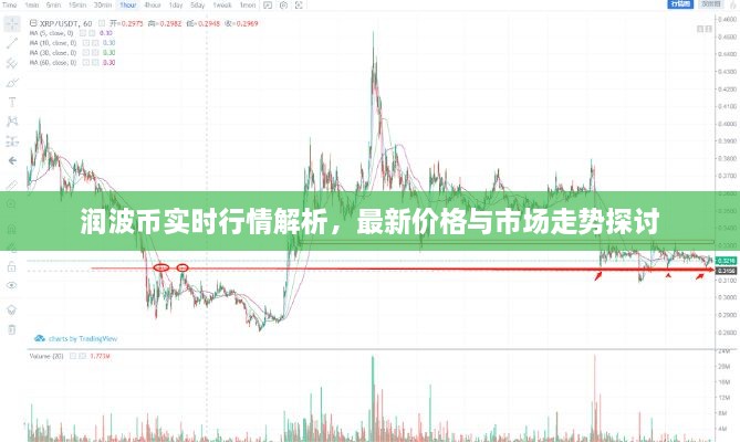 潤(rùn)波幣實(shí)時(shí)行情解析，最新價(jià)格與市場(chǎng)走勢(shì)探討