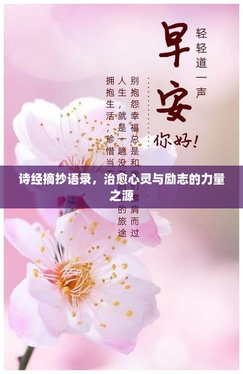 詩(shī)經(jīng)摘抄語(yǔ)錄，治愈心靈與勵(lì)志的力量之源