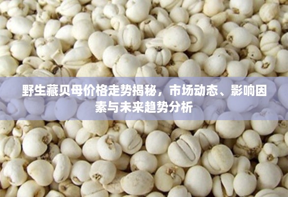 野生藏貝母價格走勢揭秘，市場動態(tài)、影響因素與未來趨勢分析