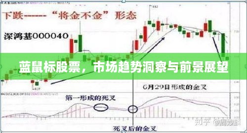 藍鼠標股票，市場趨勢洞察與前景展望