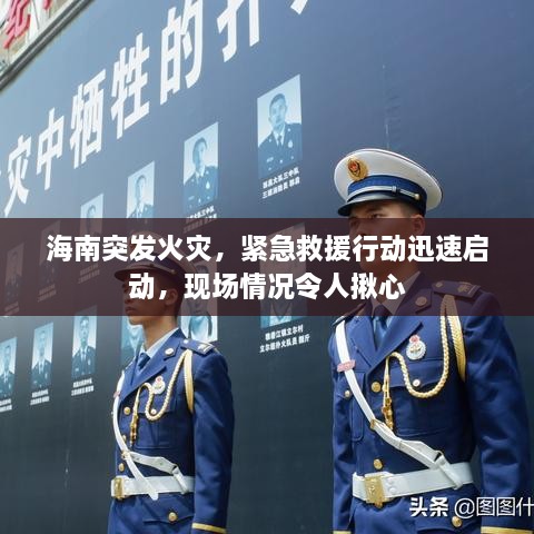 海南突發(fā)火災(zāi)，緊急救援行動(dòng)迅速啟動(dòng)，現(xiàn)場(chǎng)情況令人揪心
