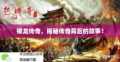 樓龍傳奇，揭秘傳奇背后的故事！