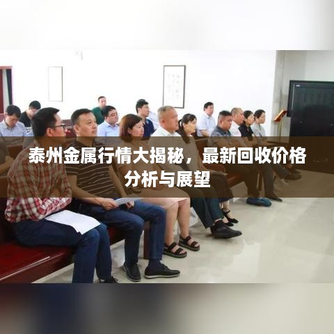 泰州金屬行情大揭秘，最新回收價格分析與展望