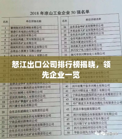 怒江出口公司排行榜揭曉，領先企業(yè)一覽