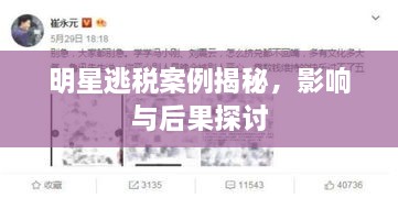 明星逃稅案例揭秘，影響與后果探討