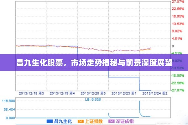 昌九生化股票，市場(chǎng)走勢(shì)揭秘與前景深度展望