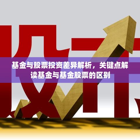 基金與股票投資差異解析，關(guān)鍵點(diǎn)解讀基金與基金股票的區(qū)別